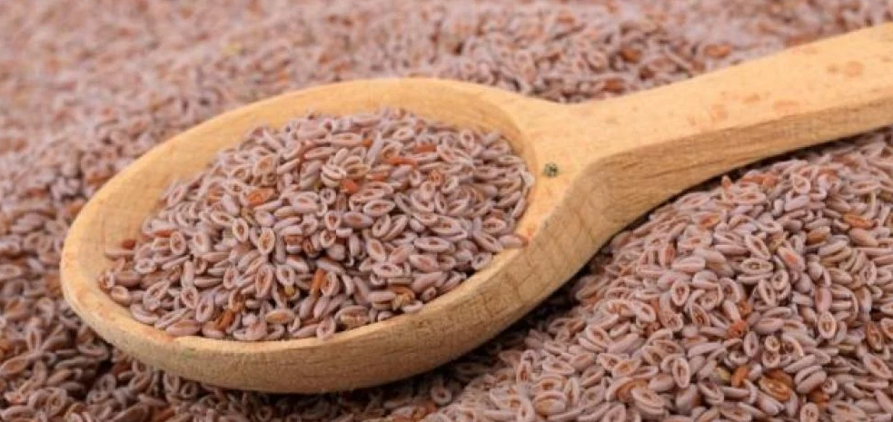 بذور قطونة 100 جرام