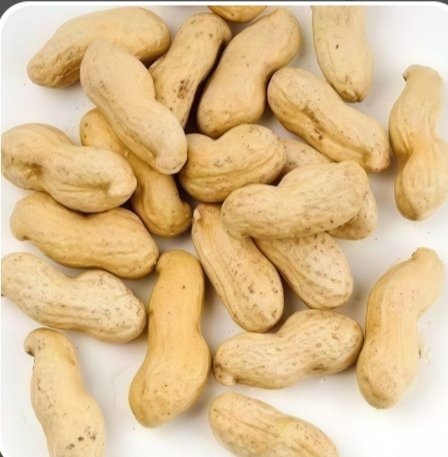 سوداني فانيليا او شيكولاته فريش المامون